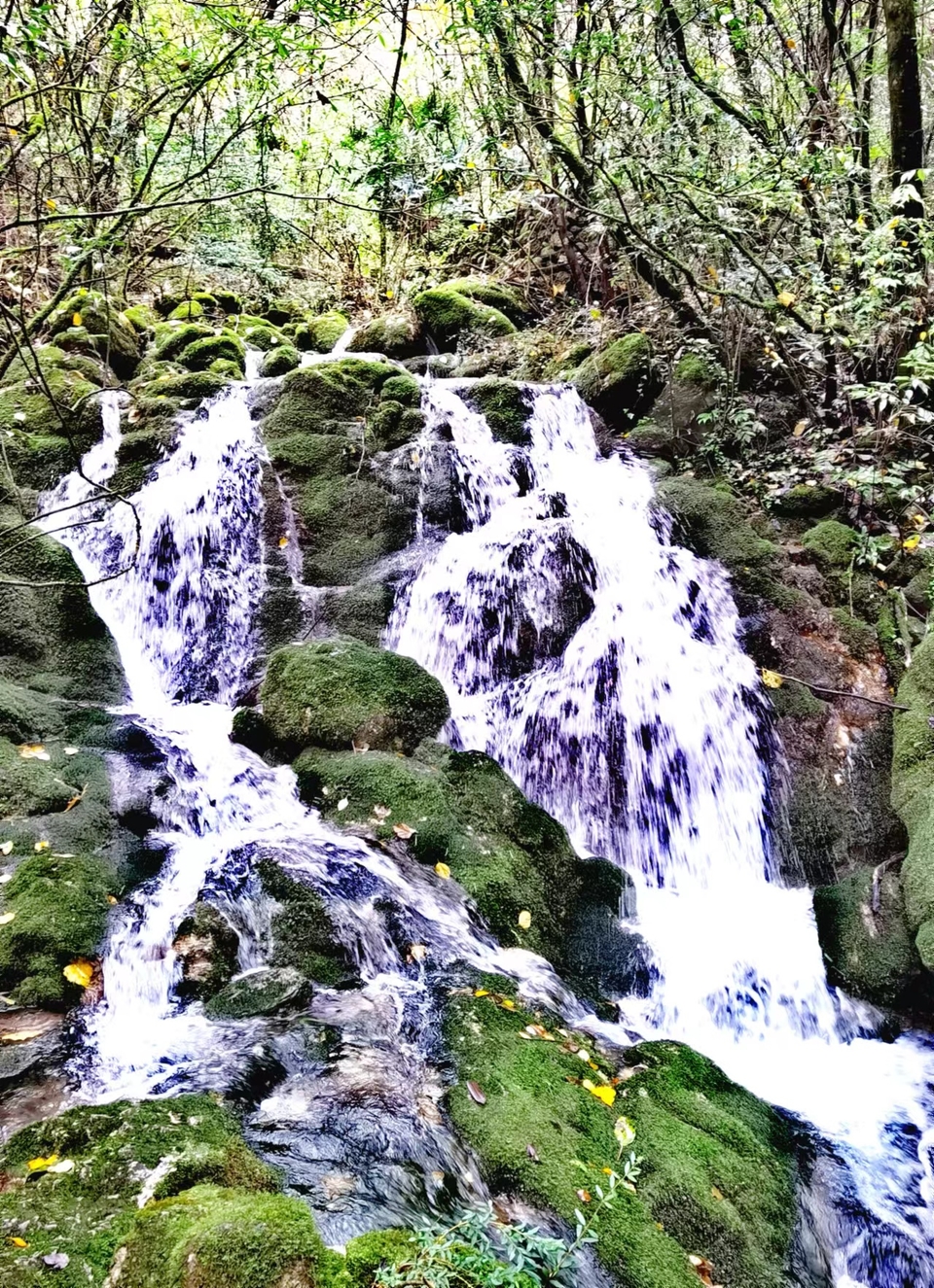 JjSB6DrPhCboqUwJ0YKyNnH3gGF_mC10DPLBqdzuBesd3fAlfiCy1mOJXTlNSOuR