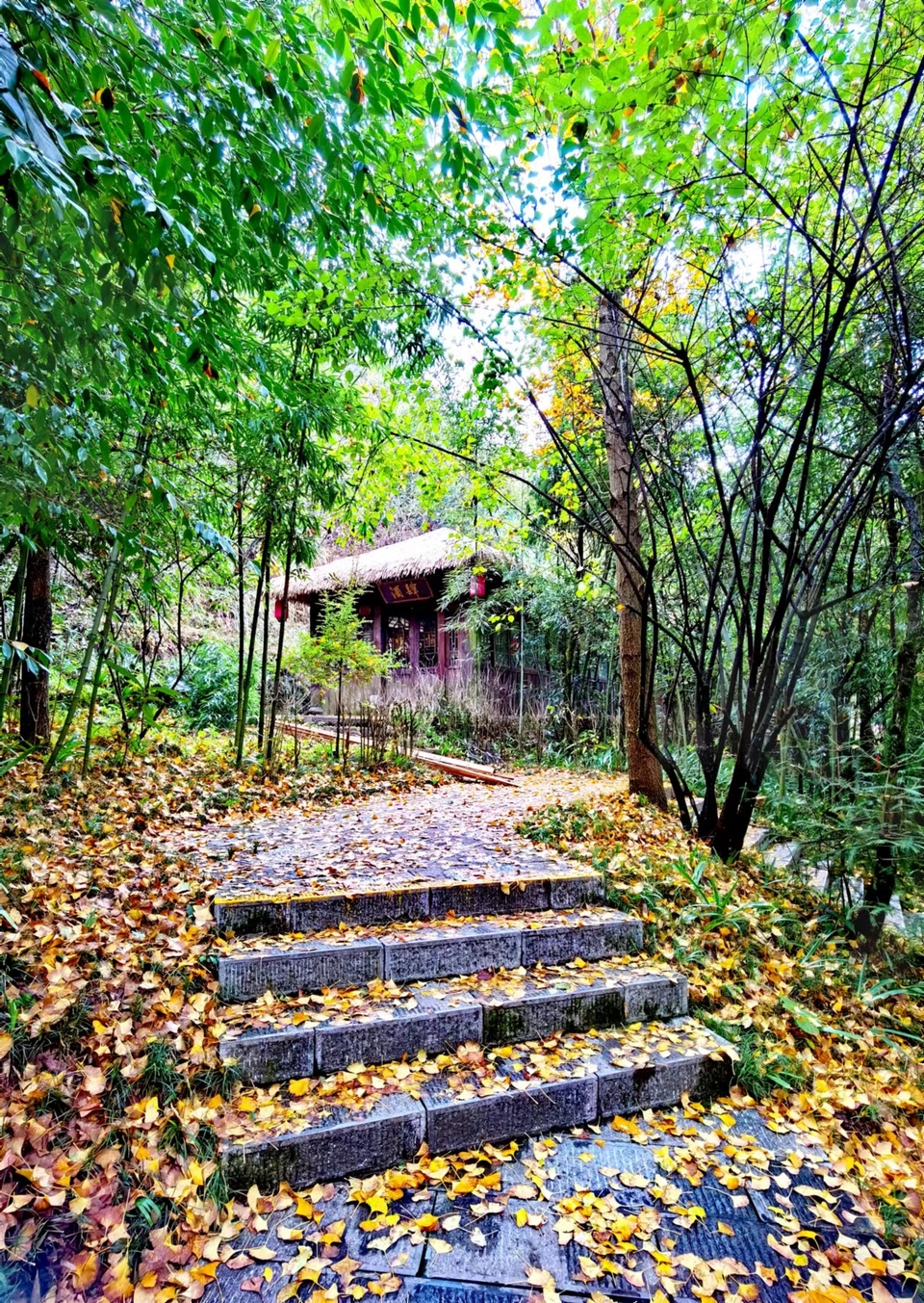 JjSB6DrPhCboqUwJ0YKyNiwYnOz2nEA2IbAYoI_DsYshxtvSZGJ-9QTdxXeWVFRh