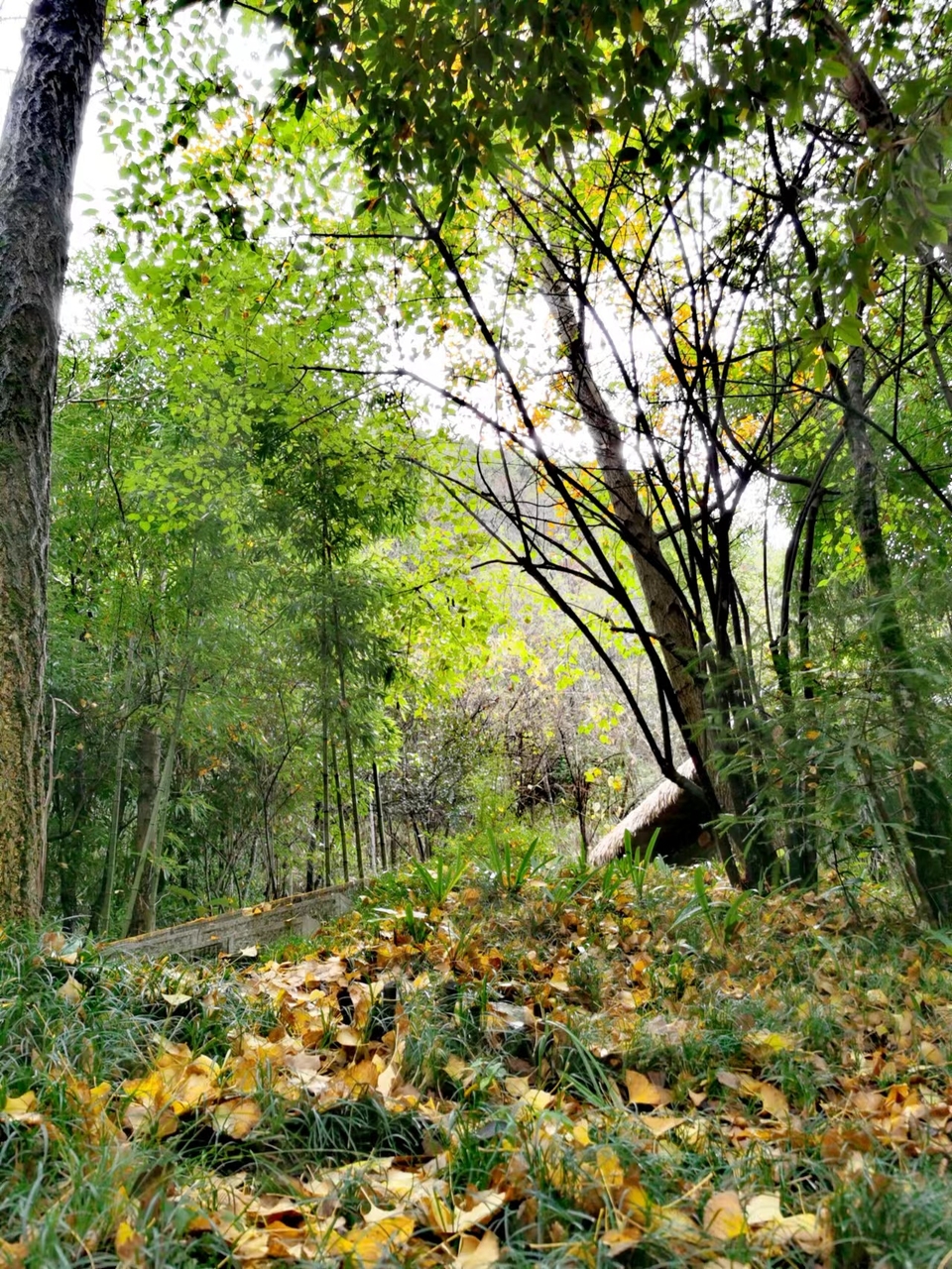 JjSB6DrPhCboqUwJ0YKyNpDPq6HfSeaEB1NqP5JBXqDiawVhjAmJzvVUSUicUTYj