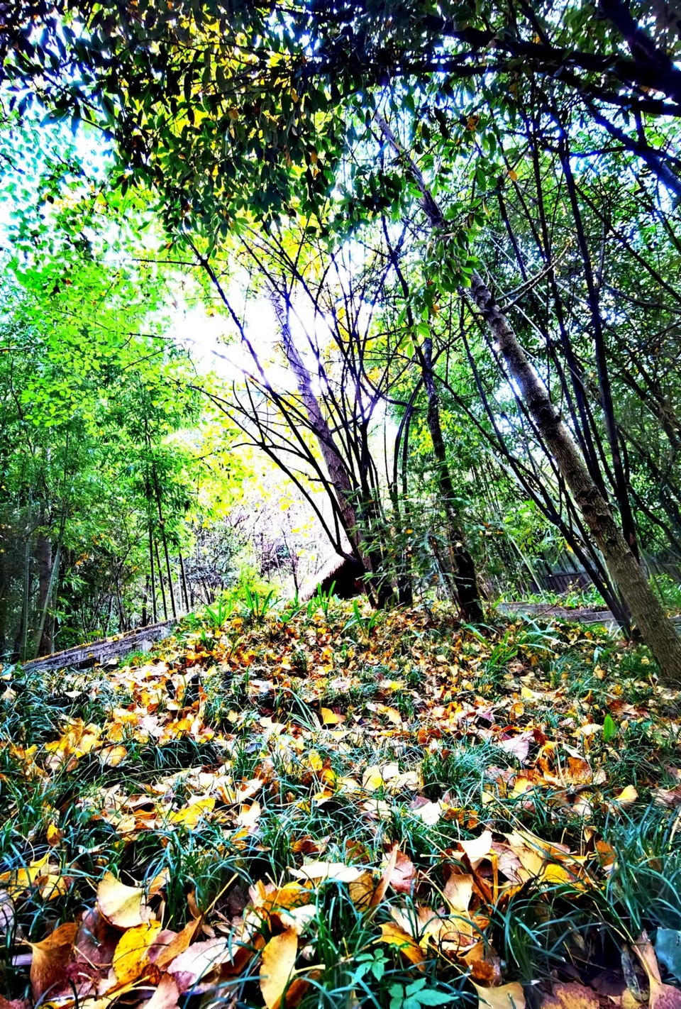 JjSB6DrPhCboqUwJ0YKyNidwYhZni984Ce7WBpq-_z9zXcu1vbEBgaGdF_2HMGDD