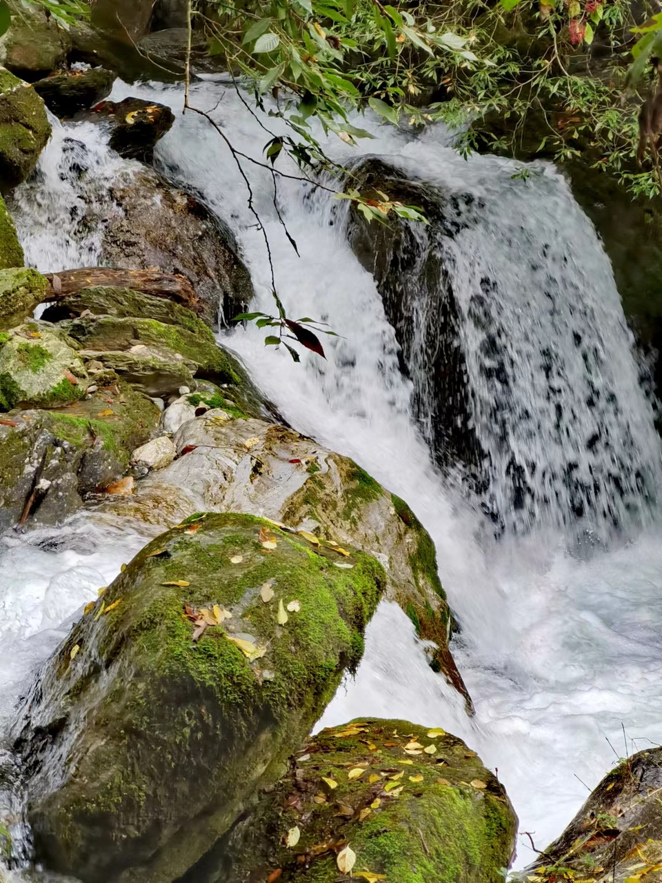 JjSB6DrPhCboqUwJ0YKyNqr7QcH_02TRgs8FW3sF13p9a5KW3h9Ff1RgoNh8mfvg