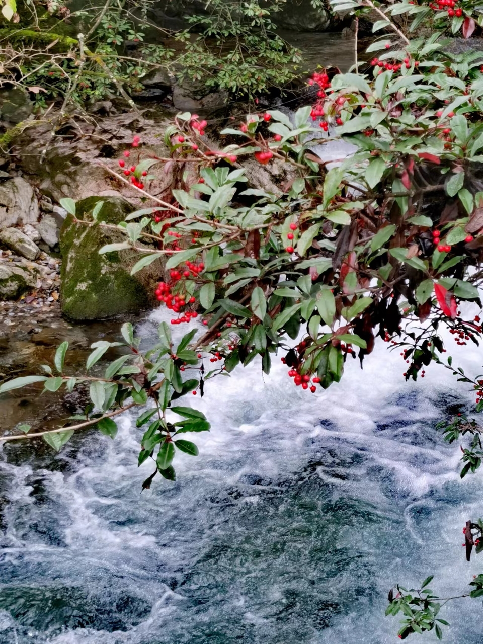 JjSB6DrPhCboqUwJ0YKyNrWref6jdXKpVtABPJ2JZjWWEZGz4D7GFwAWmrpBnELp