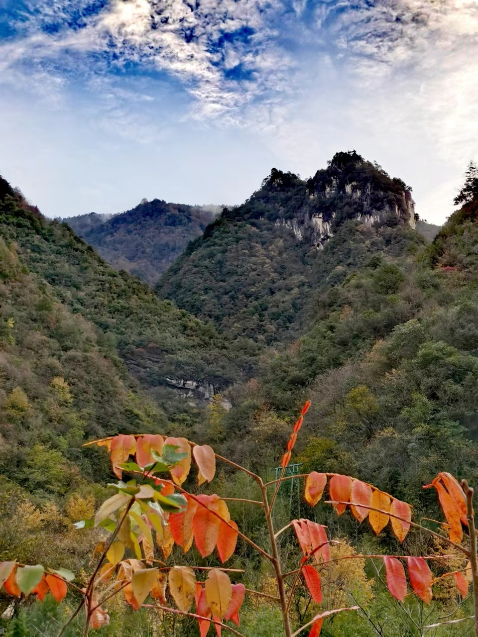 JjSB6DrPhCboqUwJ0YKyNkye61BdrurzVRe6eYZ447TpyYMw6rIzJTulG01J17ay