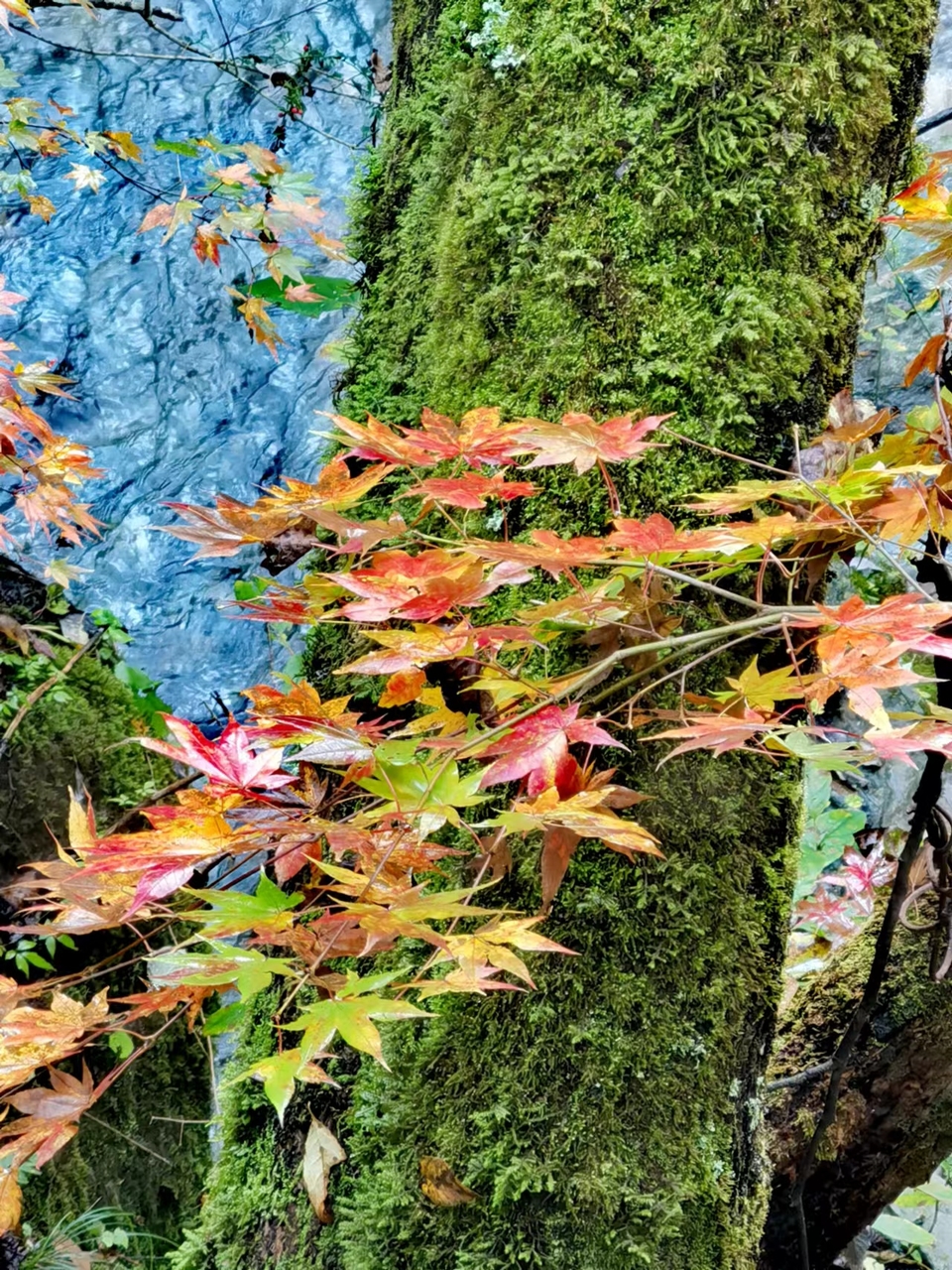 JjSB6DrPhCboqUwJ0YKyNooyBWjuHHlVwANg1QDWuNlURedroyUEUQEYOj7bQA3d