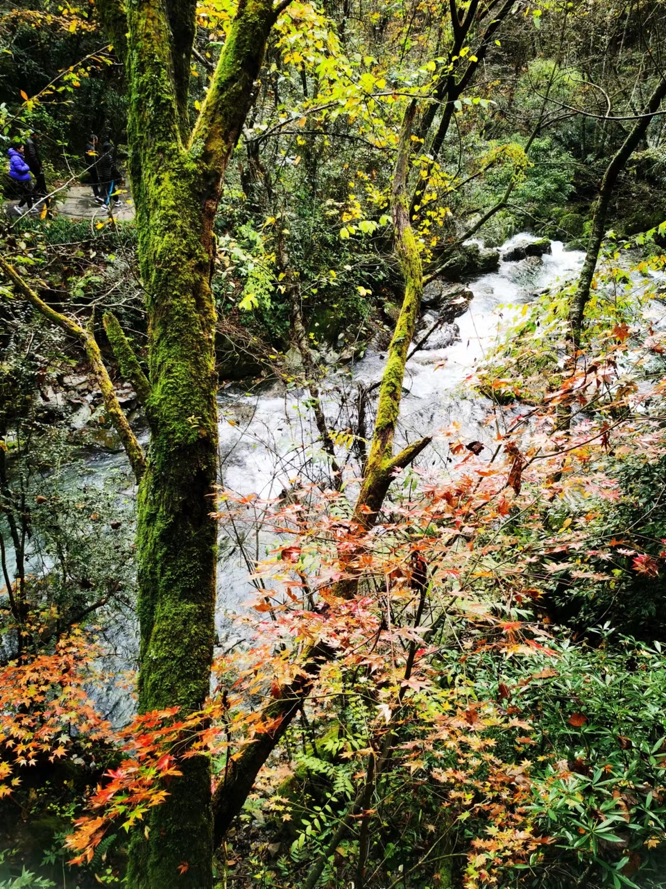 JjSB6DrPhCboqUwJ0YKyNhfPEQYud7dazUlyh5rULxzx1HRpYMJEGvCWAOx2KxNs