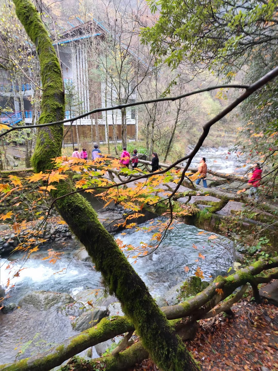 JjSB6DrPhCboqUwJ0YKyNuWZHe-142iaWCYOTsB-Fkw_Pz2EoOwahKIDuXaD4rcC