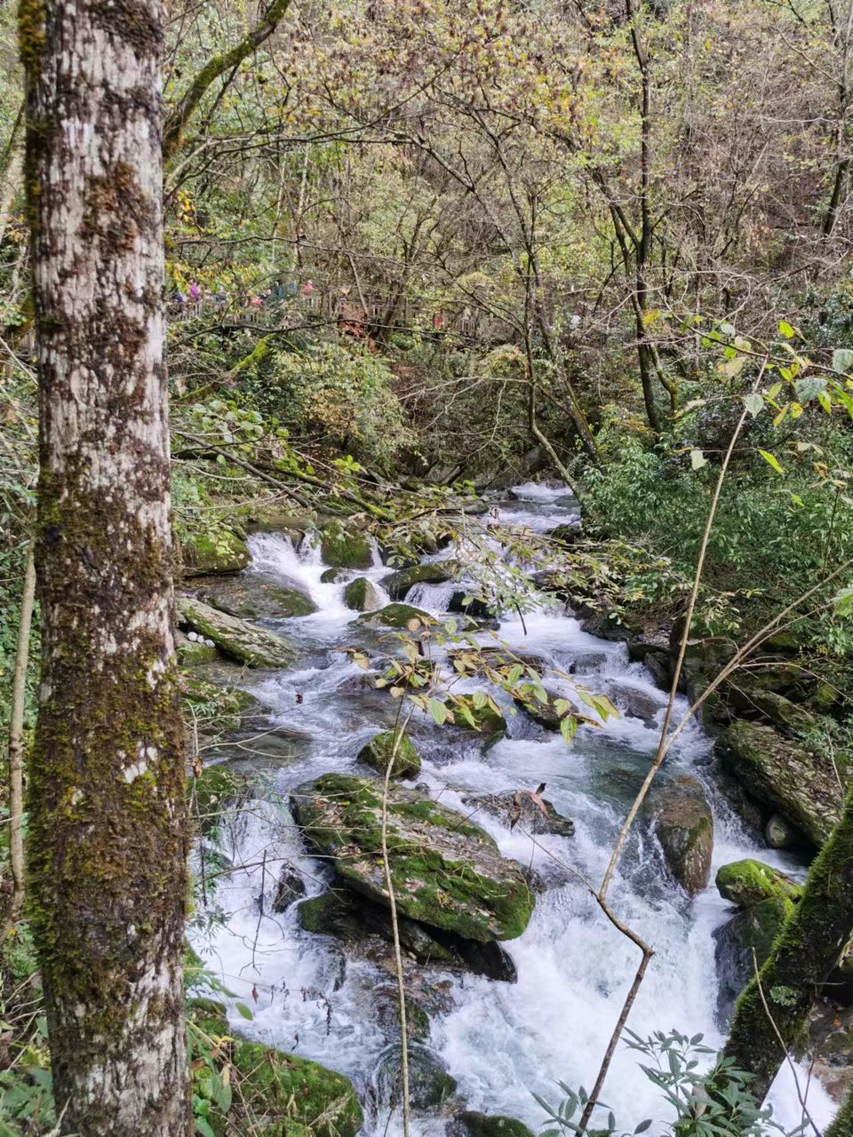 JjSB6DrPhCboqUwJ0YKyNlyfo77q-_n1yHr27EPfiOVKctLEfCxMv7w44D0b7f4K