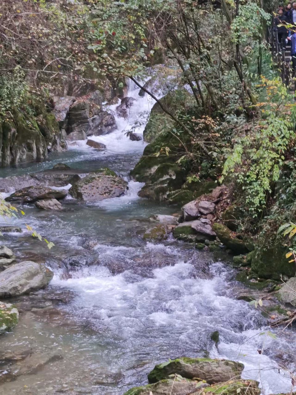 JjSB6DrPhCboqUwJ0YKyNpeOJtFiBjcr_cERUD3xt7OegJ1u_pFtllXPjd2HJPPc