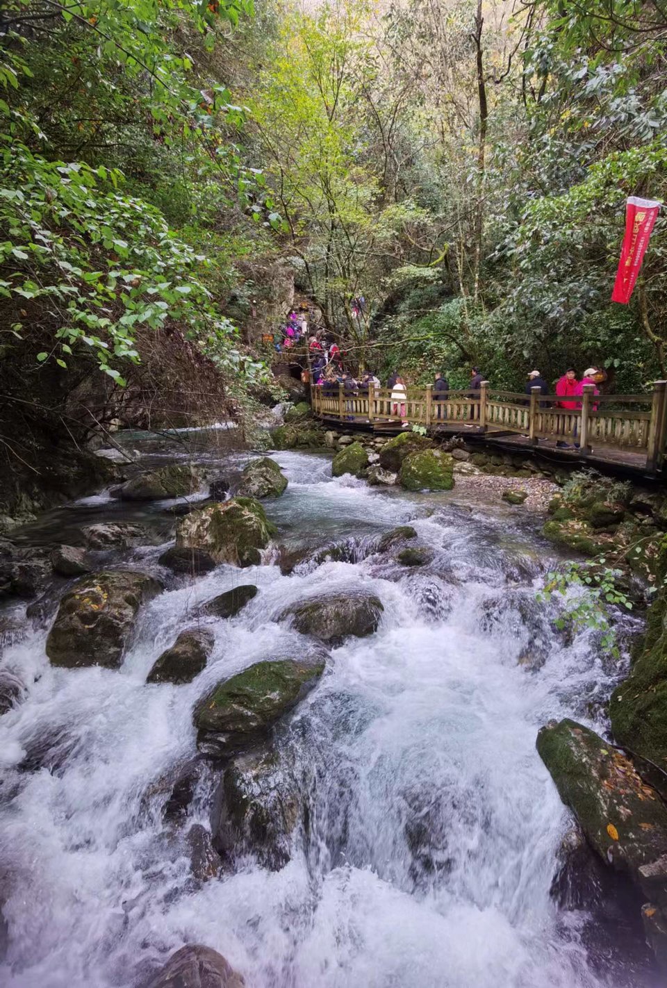 JjSB6DrPhCboqUwJ0YKyNuoichr6rnGoPR_5j3J65c54O8EKJKLvuNb7oyD0TxuM