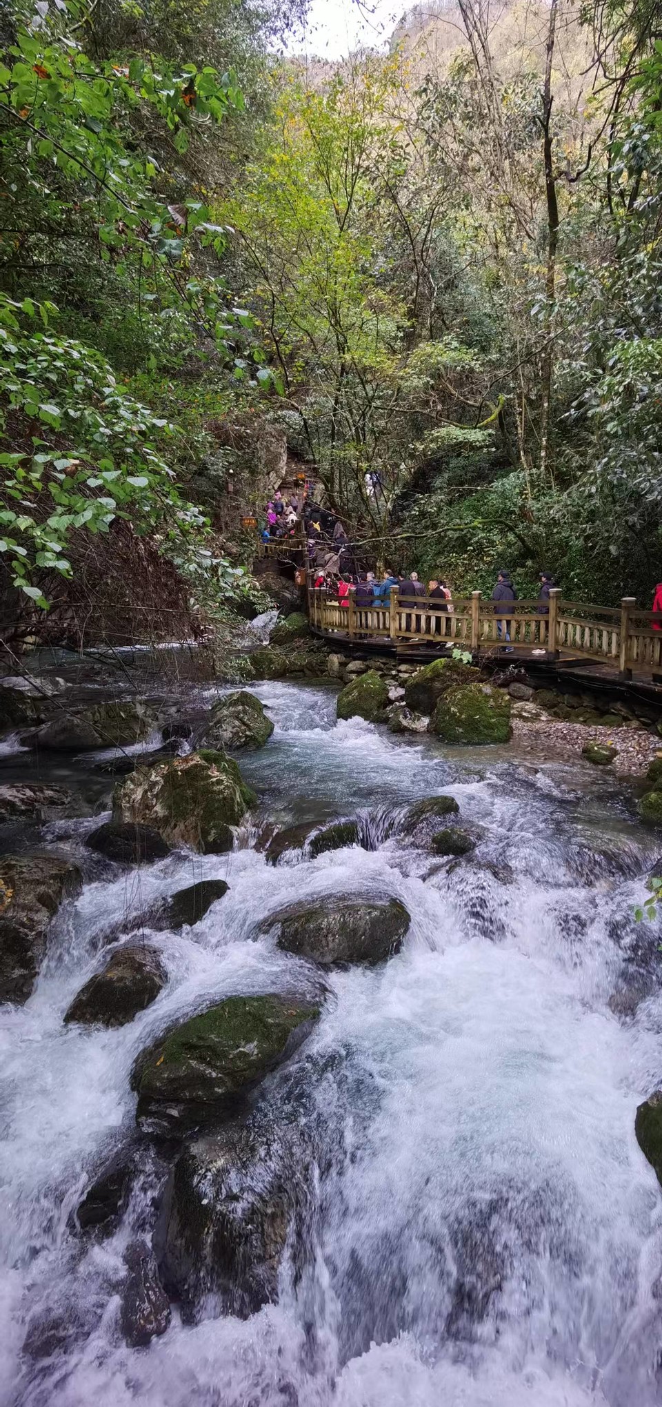 JjSB6DrPhCboqUwJ0YKyNjoY0DDwa1zVKeniZSHY-D_RcggS0fgN0ygtf6UdMrqe