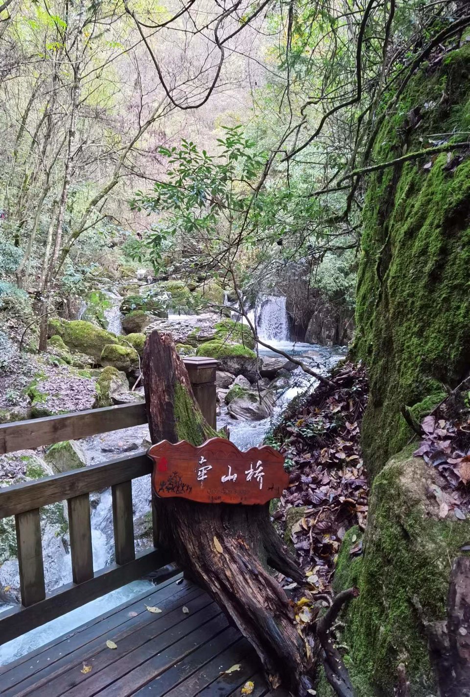 JjSB6DrPhCboqUwJ0YKyNs5Gw_y255Vu2IneGlPyATEXW1ryFgXTgS9u7rgqR9ZT