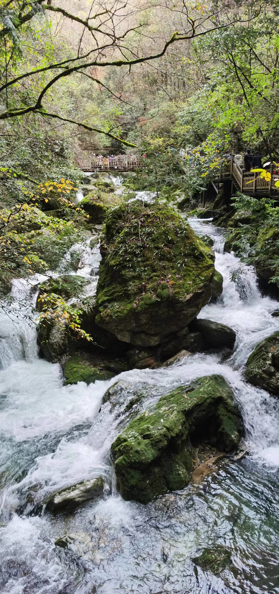 JjSB6DrPhCboqUwJ0YKyNrpdMk3KF3aSOBtQgLGA4a3aeh4mnx_wbyqVEGRszOP7