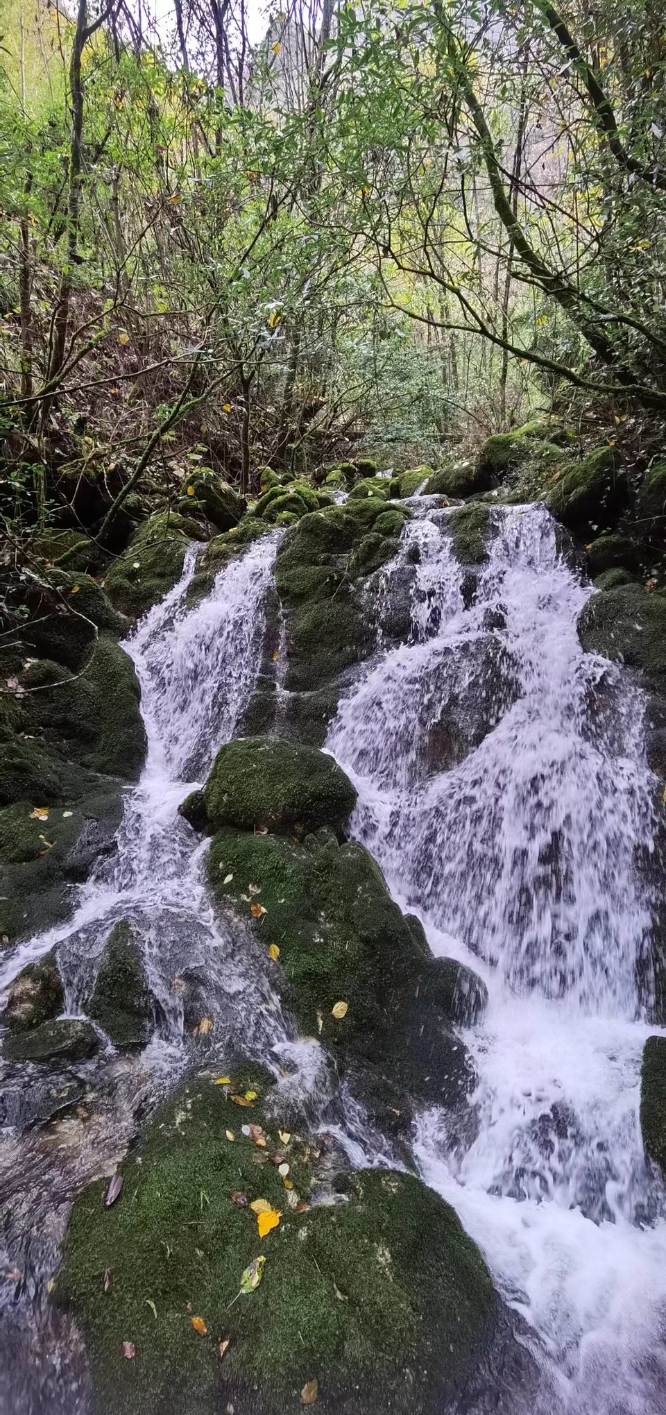 JjSB6DrPhCboqUwJ0YKyNiqqwo3zp-CU0kIocZCAcPqV0jaCTD4IE1-3oeJsp_ws