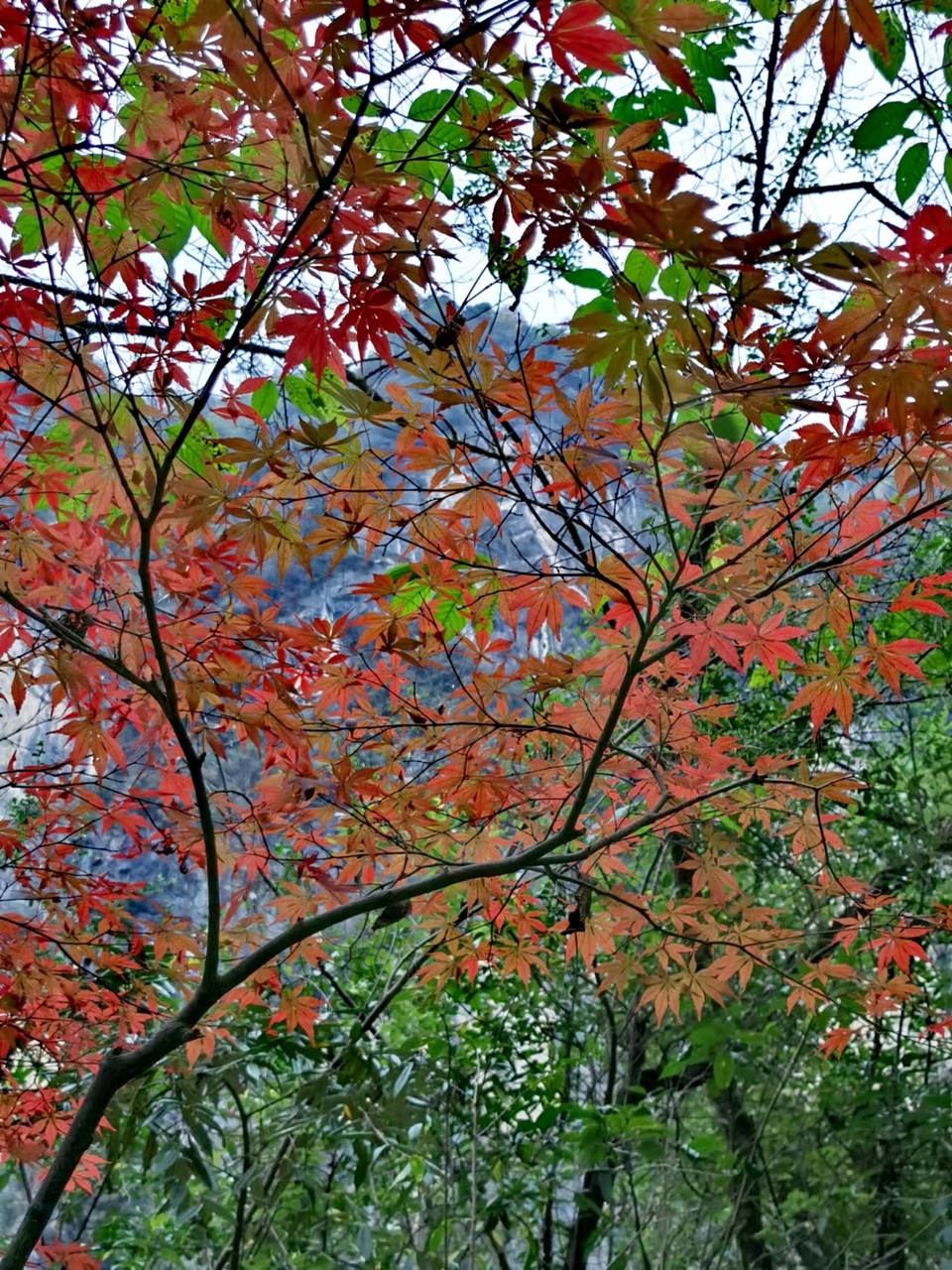 JjSB6DrPhCboqUwJ0YKyNv1UhsfuSUiPh8SLkPp0J7kz2V_p8mf71ZJ316HCJb39