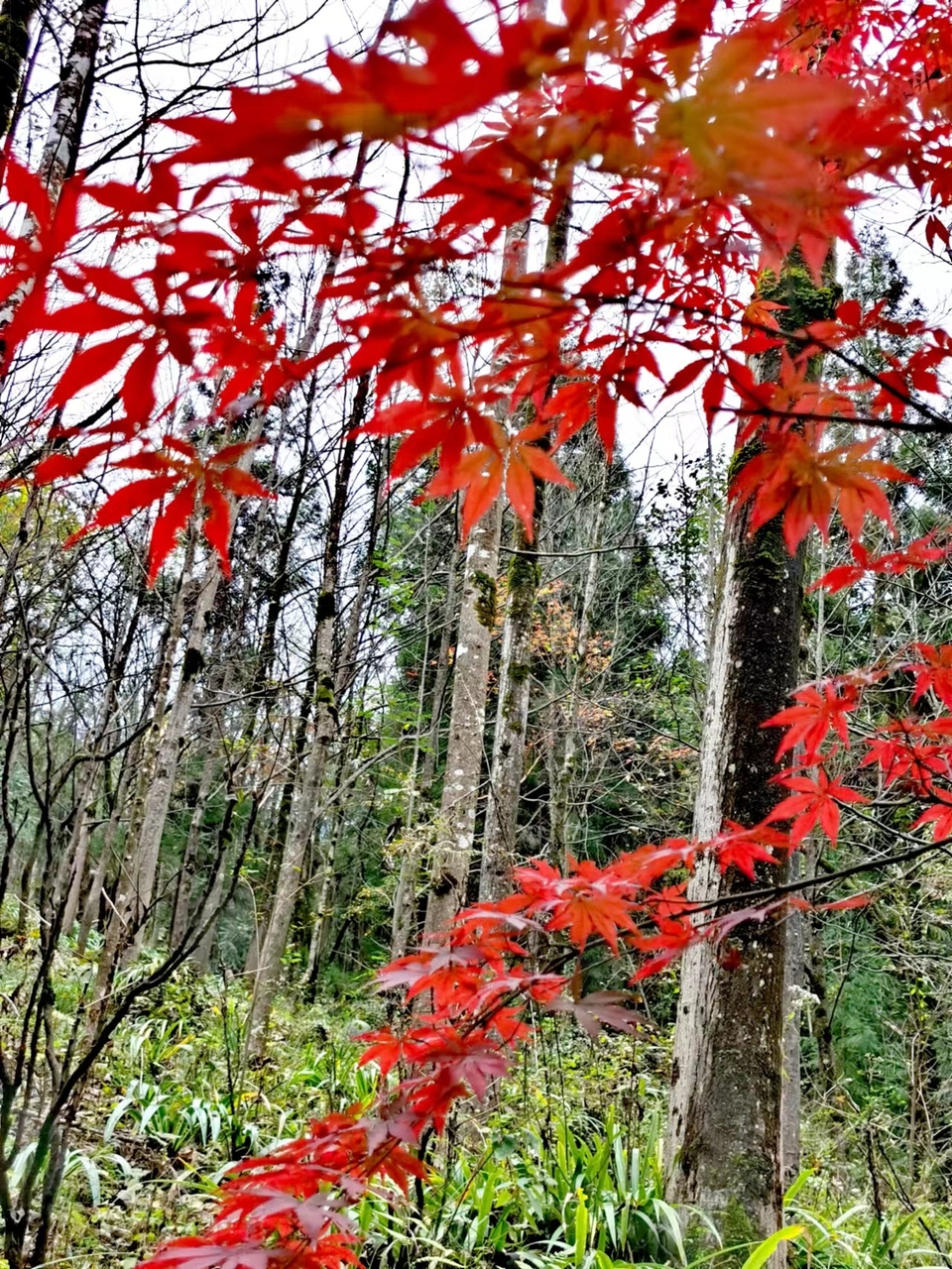 JjSB6DrPhCboqUwJ0YKyNlsslxmyQoD2foWBporkOsb3Q77zW7NnOvTvYLV2AvKc