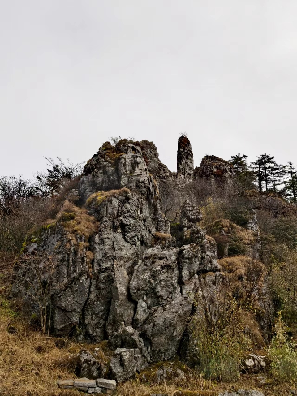 JjSB6DrPhCboqUwJ0YKyNix8dcZLYK1VpVFlbvQT5Us0yL4Nc2_C-GB0BeYMlI0T