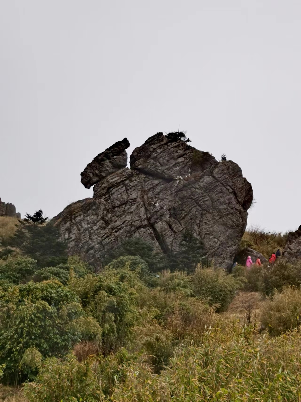 JjSB6DrPhCboqUwJ0YKyNiR10QZMEuXDGQgrmoWTyveWa2LmQOVUqlVhUgexh81g