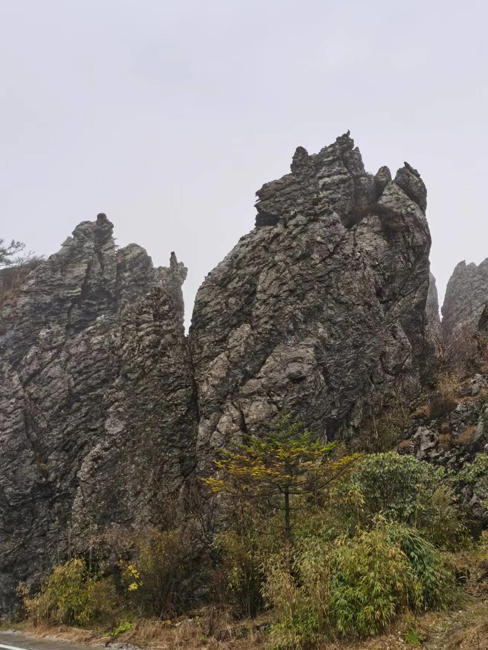 JjSB6DrPhCboqUwJ0YKyNtM_yrz7PGs_pouLpoeC0AkHNjPs6S-_Xbaj6MtfAWx7