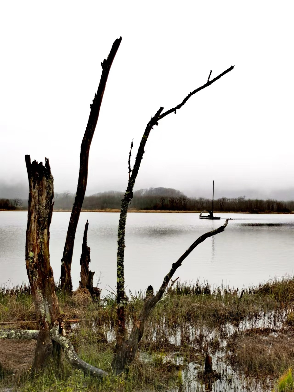 JjSB6DrPhCboqUwJ0YKyNjJY8Aro22dD1xb7YWHzjfYtjfj0aa7oupyrEs3uo30N