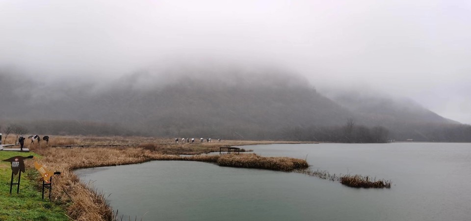 JjSB6DrPhCboqUwJ0YKyNpJfYbvmYKNJ_jrViMLfdKn5vbn-2-JocpzzXZ_oTfys