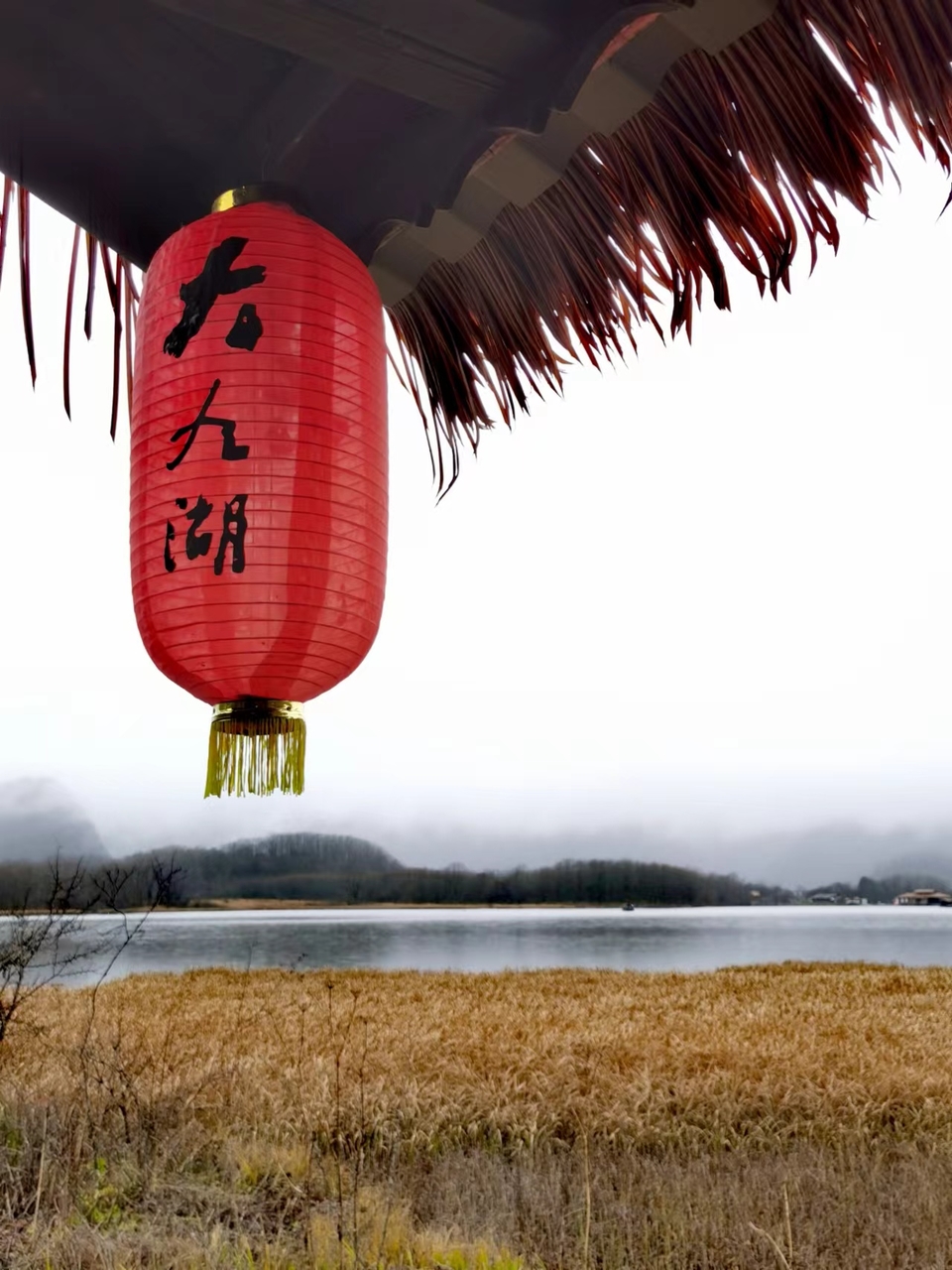 JjSB6DrPhCboqUwJ0YKyNu5wKmzfYS-CmFEC3IxT3v1F8x2u9CC7OJXA0Qu4BEI9