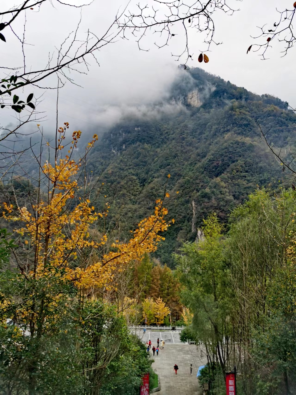 JjSB6DrPhCboqUwJ0YKyNtduOMw9C7KhyJY6UgwLC_AO_kUhDWQYyso4zFKI8jOo