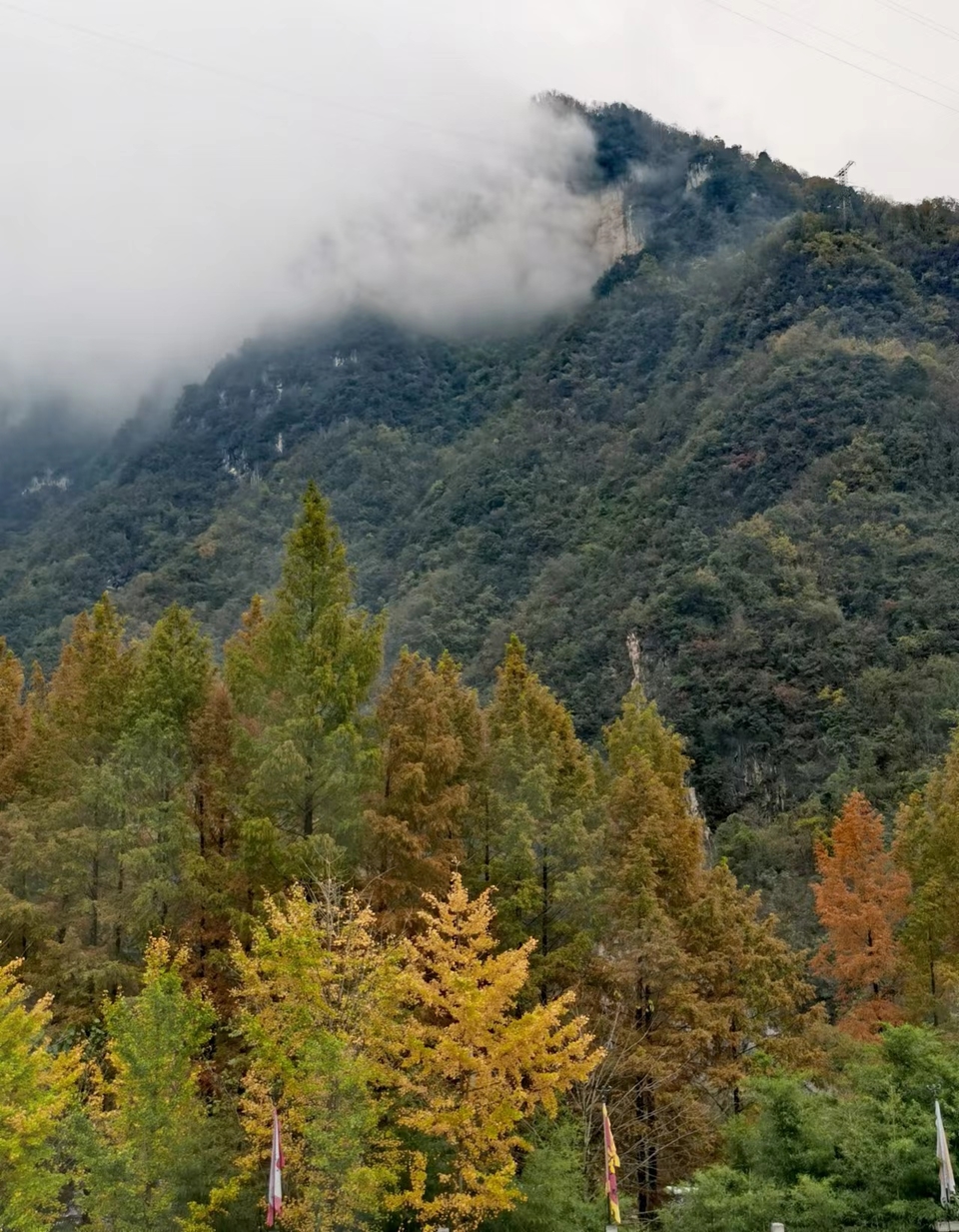 JjSB6DrPhCboqUwJ0YKyNmpw-gVE1tIx1Mi-iIlQrrTVKcg0BiAMyg5ttTdv1uCA