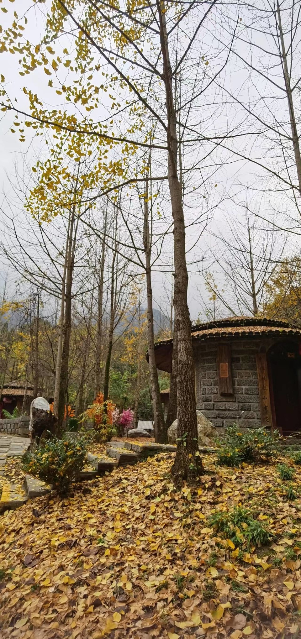 JjSB6DrPhCboqUwJ0YKyNpaVnU5yz9hoDVCfR9WLNg0Zmxo48A1iR8L9ttz0D26l