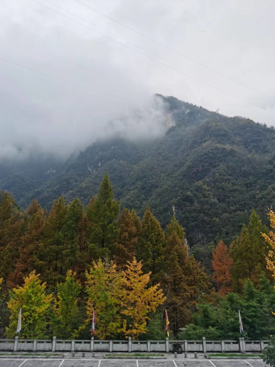 JjSB6DrPhCboqUwJ0YKyNjJ0DJR8B79QiOC8VfLET2-47ZFclsiAh5T3aFmUV3s-