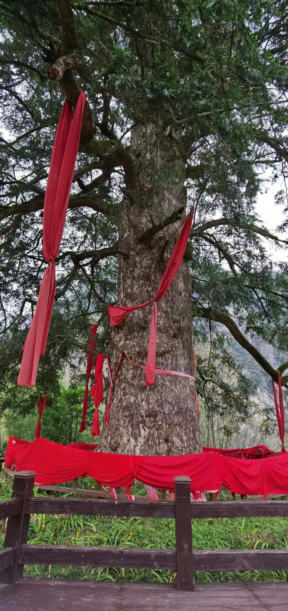 JjSB6DrPhCboqUwJ0YKyNnPb3jYjVlqYZytmme9ujctElbqktBU7TaaUHZ8kSOge