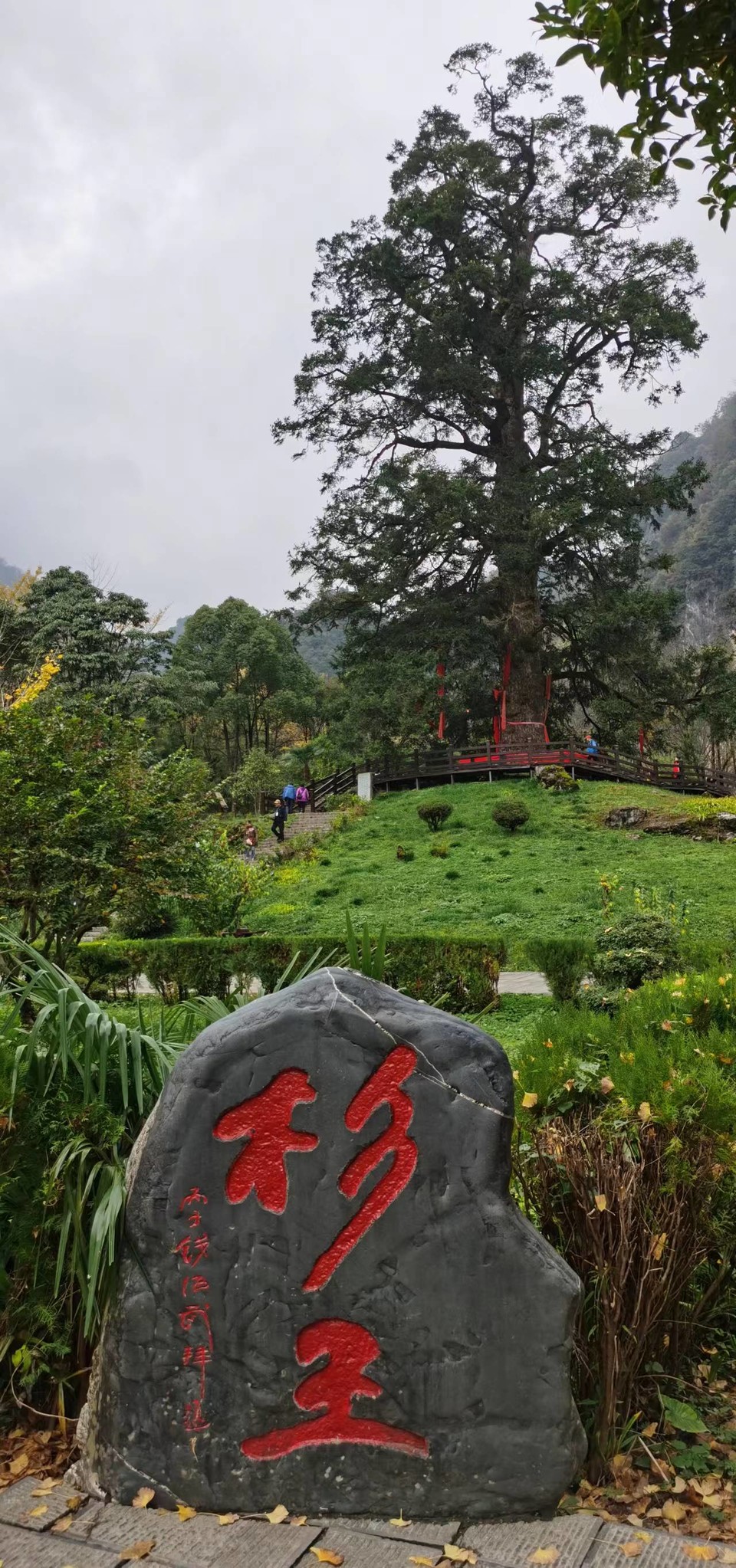 JjSB6DrPhCboqUwJ0YKyNsmCU8GRctr4DI8fhEf_n-j1qvynnaku76RV90wEld86