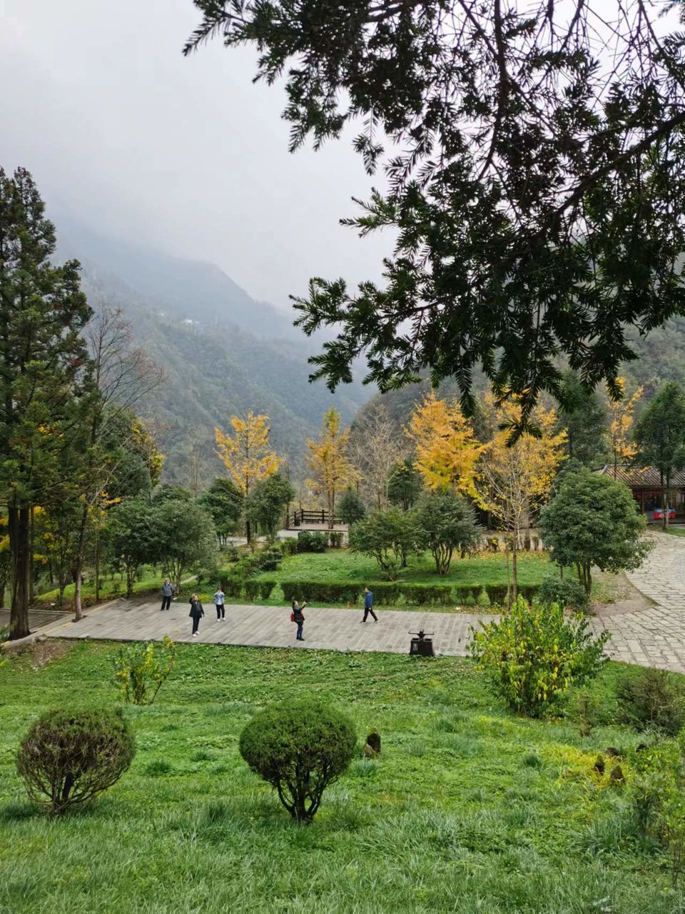 JjSB6DrPhCboqUwJ0YKyNmFjFUiLKCXj-6ey9J_i5WH9ILThs3B3GVS5uYeSC29R