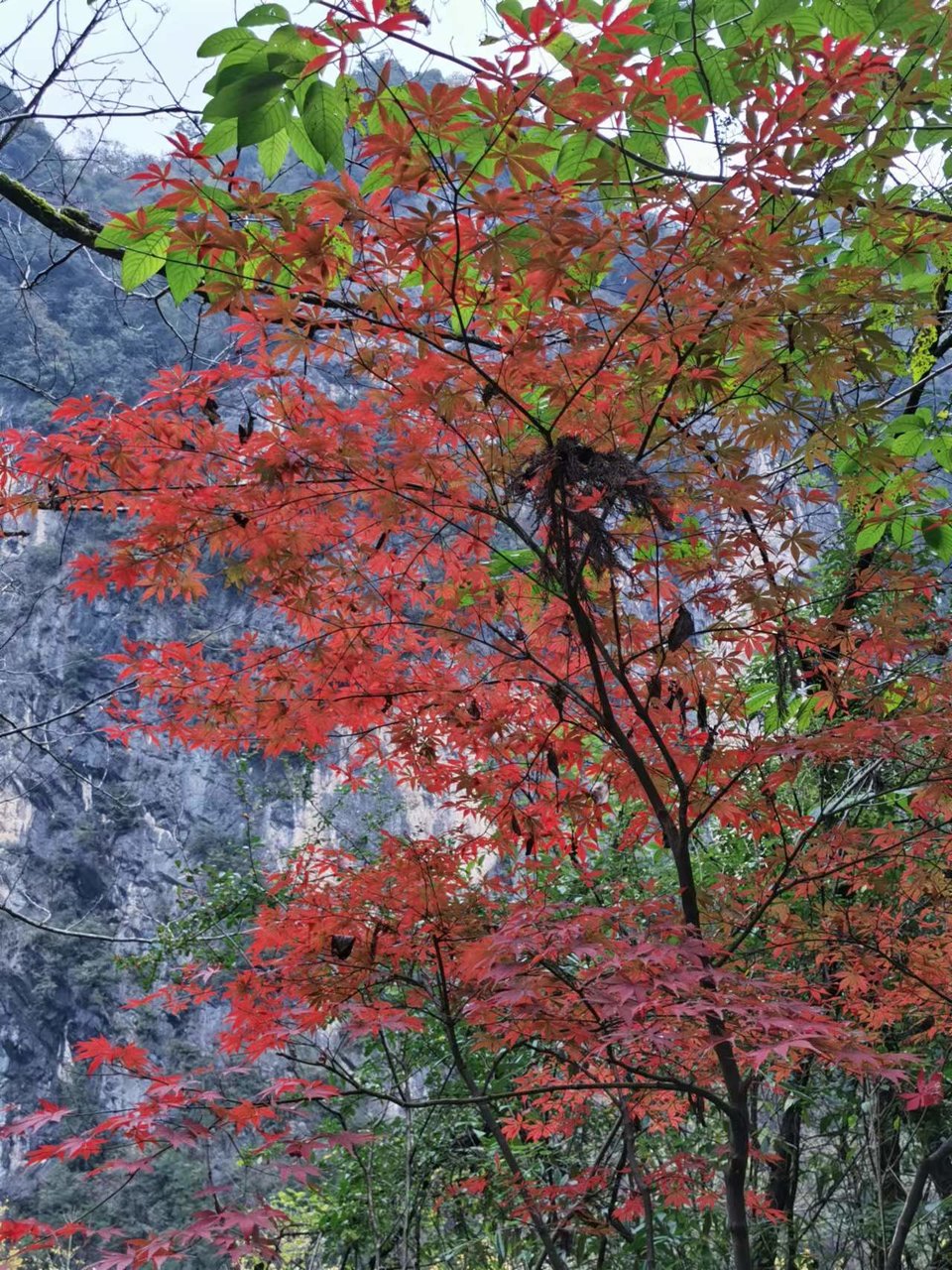 JjSB6DrPhCboqUwJ0YKyNlpI_NdoyXeFHyZyIT073lf7X2BqOt0wcV6KREjBDYYx