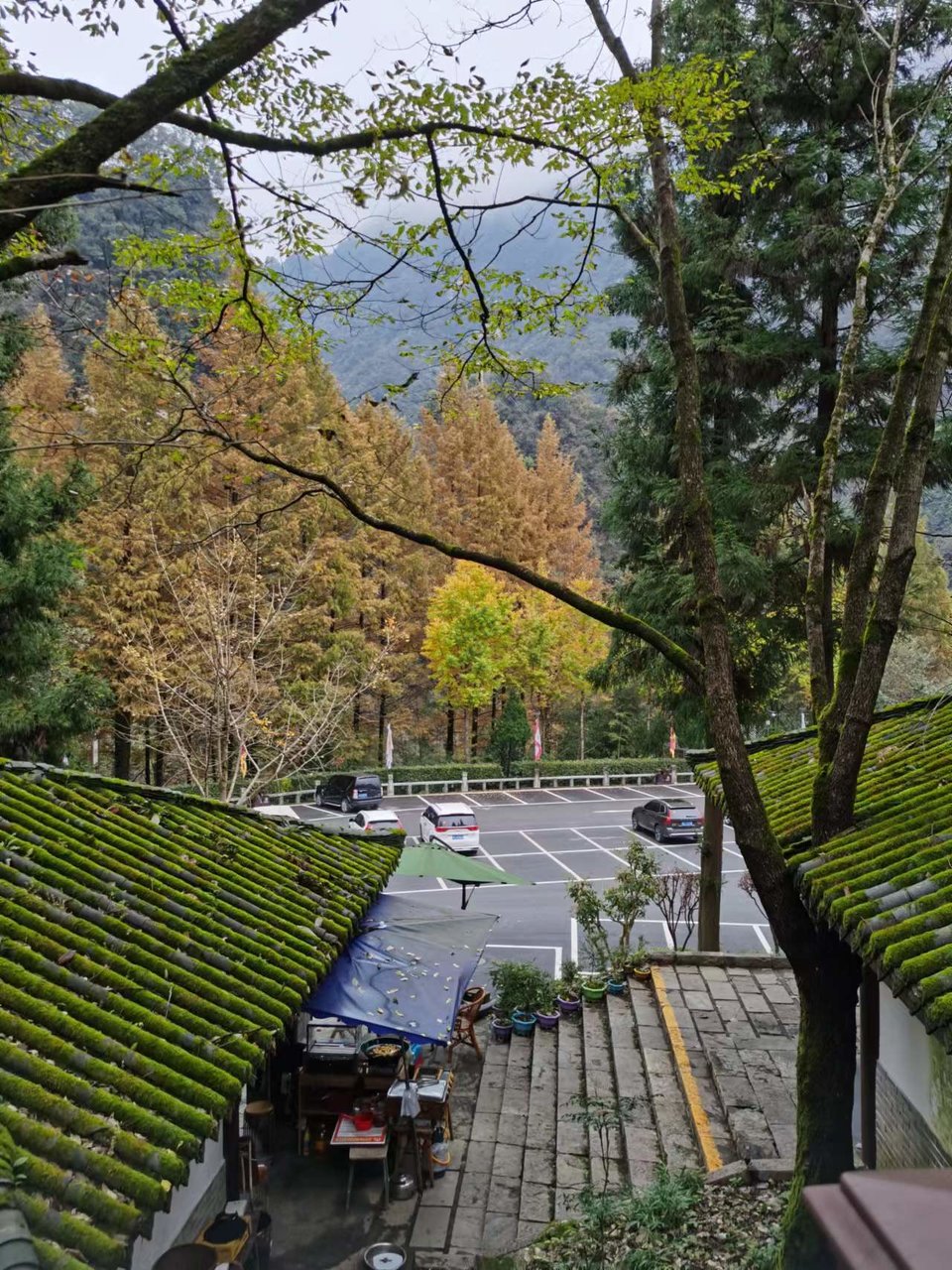 JjSB6DrPhCboqUwJ0YKyNvGyQPeSjzw4185_HuOZolhegJPftQ9K0kwzdjwDPbDV