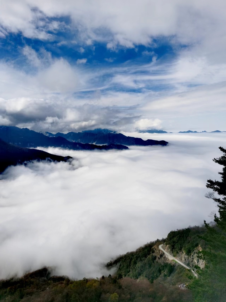 JjSB6DrPhCboqUwJ0YKyNmoO15fdrzTHryDlz0FQ9q40Wi4JQ8wJncTs_9f5Cw5r