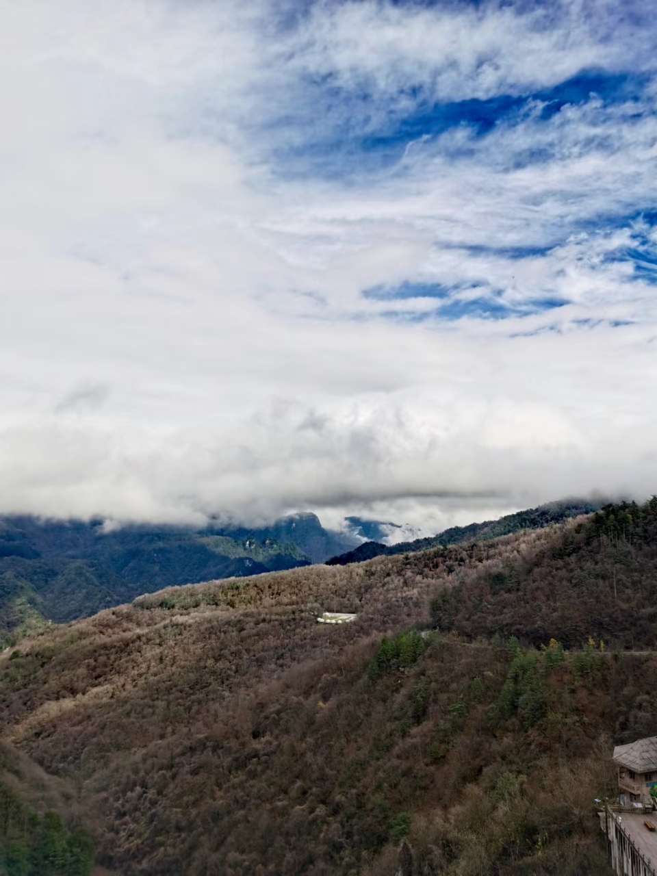 JjSB6DrPhCboqUwJ0YKyNicD9612w-_Fa2mgMFiMv4I0Z9uzUyGELsZ0OUVoWkf9