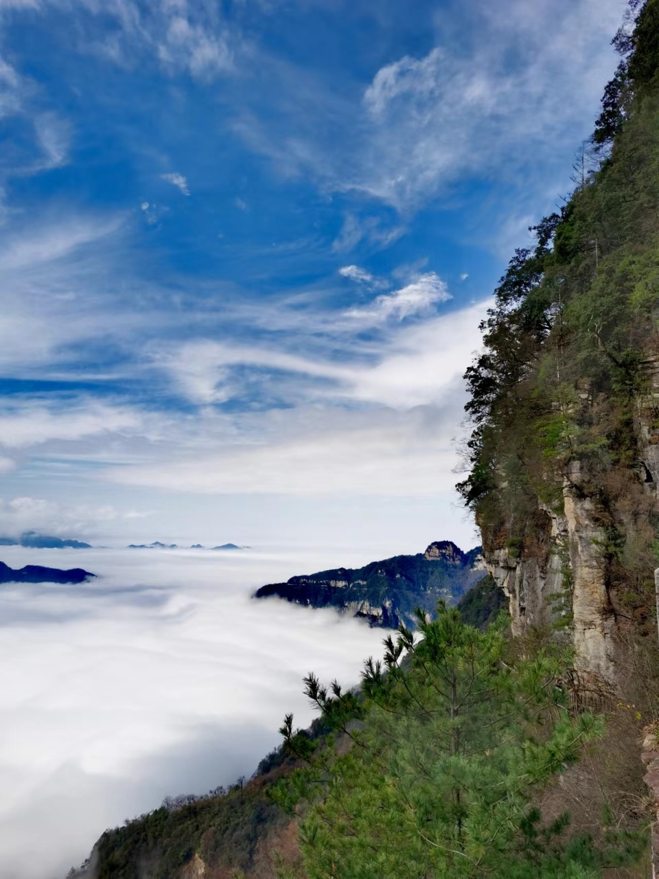 JjSB6DrPhCboqUwJ0YKyNjjKpKNZ-nOOi66Up4g5a378l_0XEzFzdAH9tJ_GO8DE