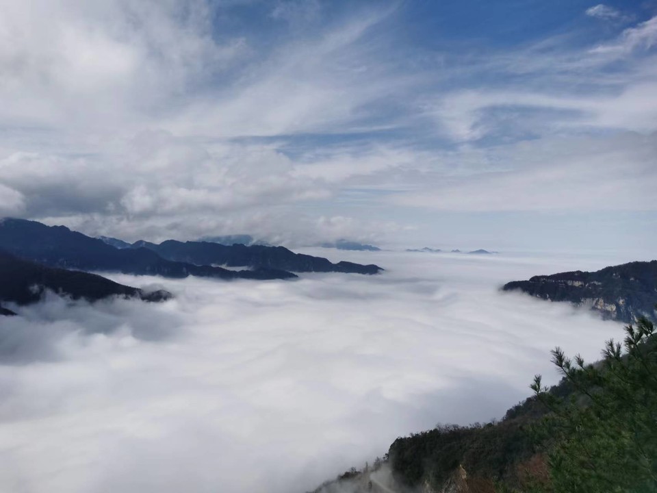 JjSB6DrPhCboqUwJ0YKyNjQKSj-8FfOwrFx1IyCv2uUmiDTaAWtO7sWWoIlYbSeJ