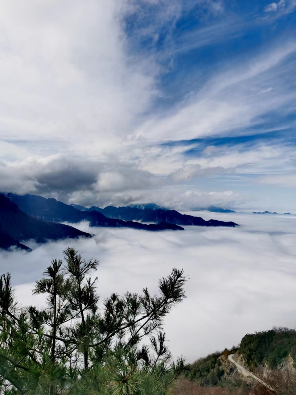 JjSB6DrPhCboqUwJ0YKyNgL4PfN4Z7NcvJWeQxe4DmVwkllmxQPZlWkM6IEdo416