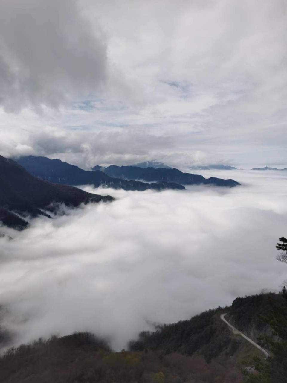 JjSB6DrPhCboqUwJ0YKyNpSCPuZioiXLF-_vZfoGRP2mZmno0jYkOzqzceJZGITh