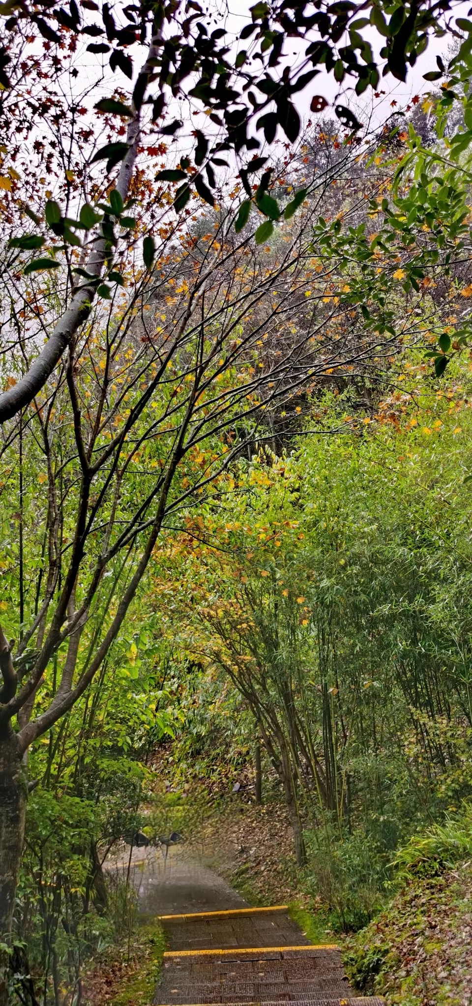 JjSB6DrPhCboqUwJ0YKyNrem6tredpRK06SaDwOwhNKaawBsKXmqQlqSrTjNKhXy