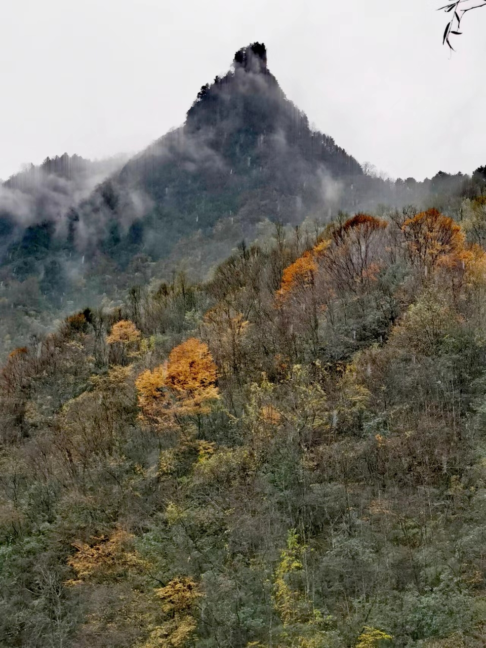 JjSB6DrPhCboqUwJ0YKyNs5lm3dPPlJRdFGCnp4mQHFU8AU2pibe_nCXw3hVE16w