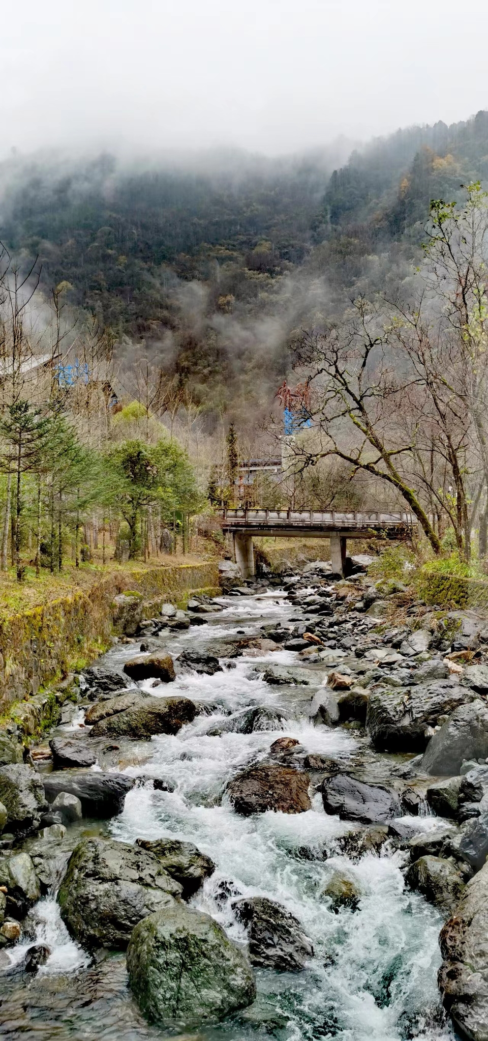 JjSB6DrPhCboqUwJ0YKyNmvnl9ayc-5RghHrIzwWyu4JPtKFAlMk01Rr3JjmhZyM