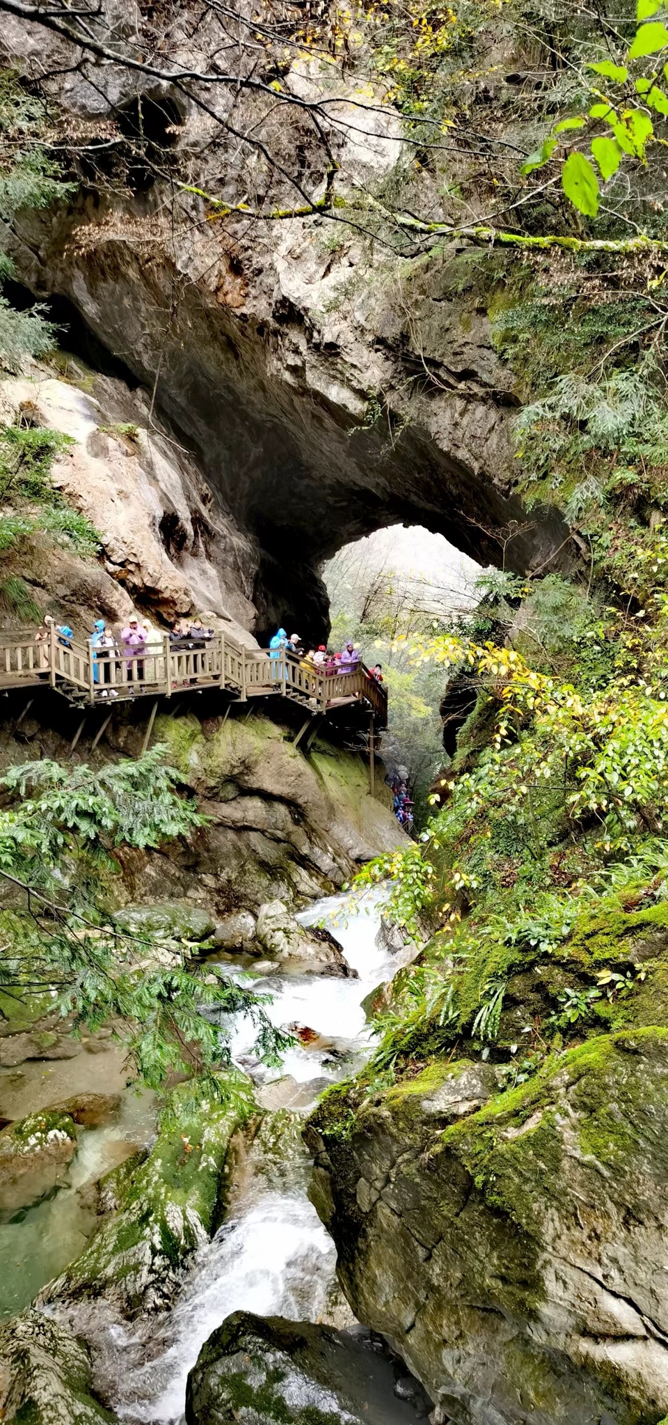 JjSB6DrPhCboqUwJ0YKyNkCkBX5mfcrRRUKGbaEbDRWIspARqrRu2RAbk_ef4AD5