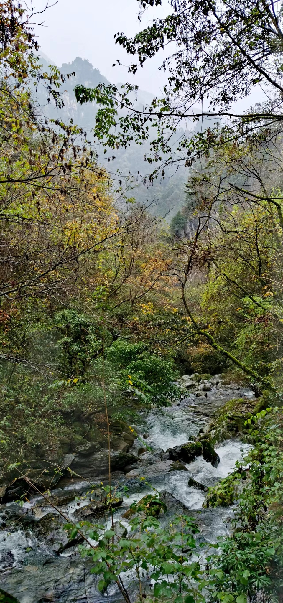 JjSB6DrPhCboqUwJ0YKyNhIGoMUxKyv4OPg0AHW1WRas6rFvvM7cx9MLBDm4BAFw