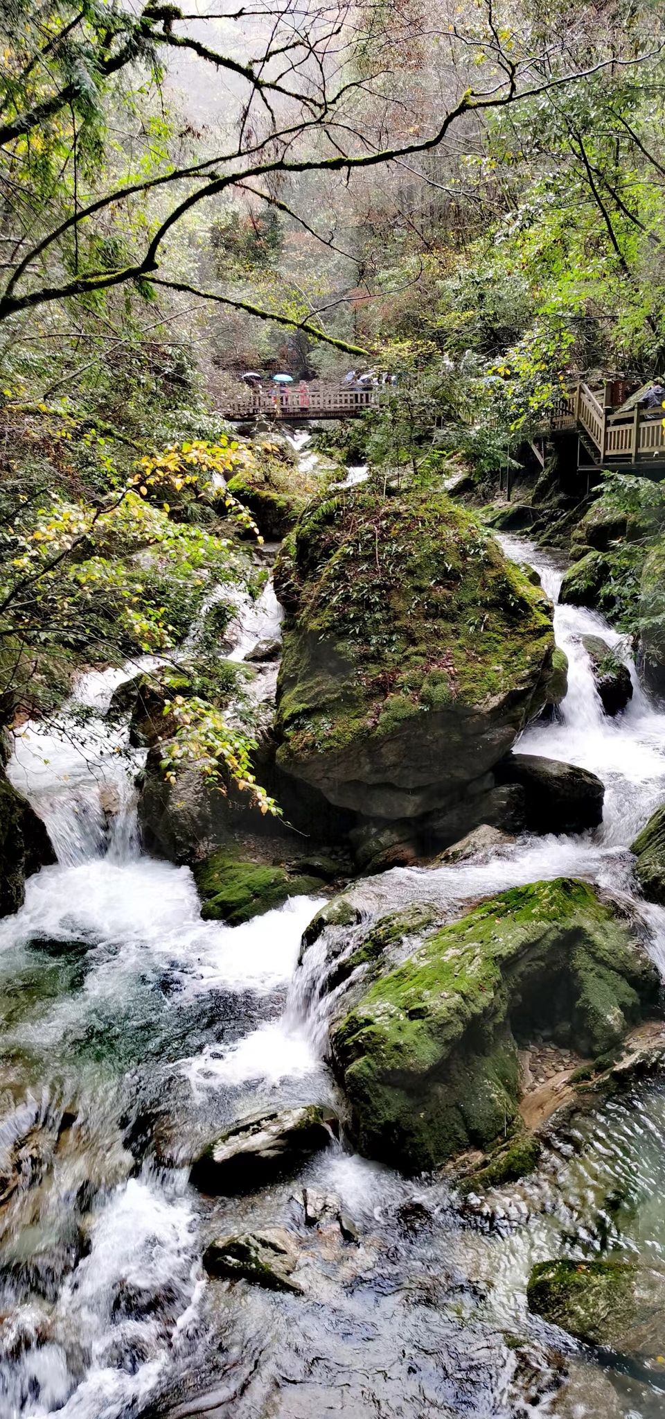 JjSB6DrPhCboqUwJ0YKyNs8brNfDK9drqKpPcxZ6yk04XpAII0tdv9xkNAVD_laR