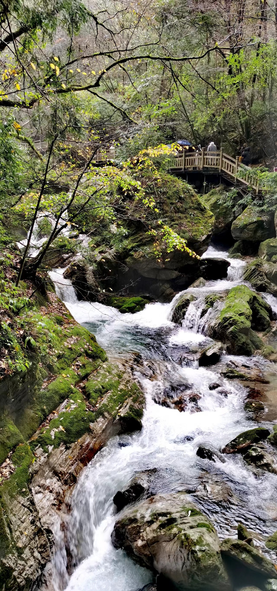 JjSB6DrPhCboqUwJ0YKyNmZBMG1-KIXdUbJQHZ0NEpE3b8Dcx2JyOV7Ief1jXk_l