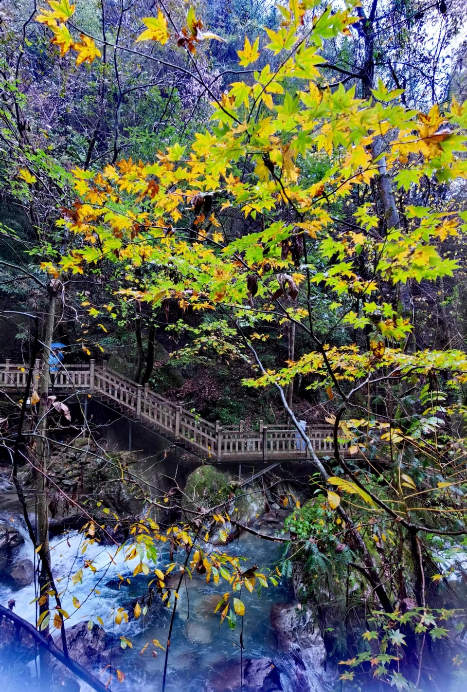 JjSB6DrPhCboqUwJ0YKyNhPSLorDZvwawZ8NJnweqAppnhu2x-aUyvtiqbuJVJf5