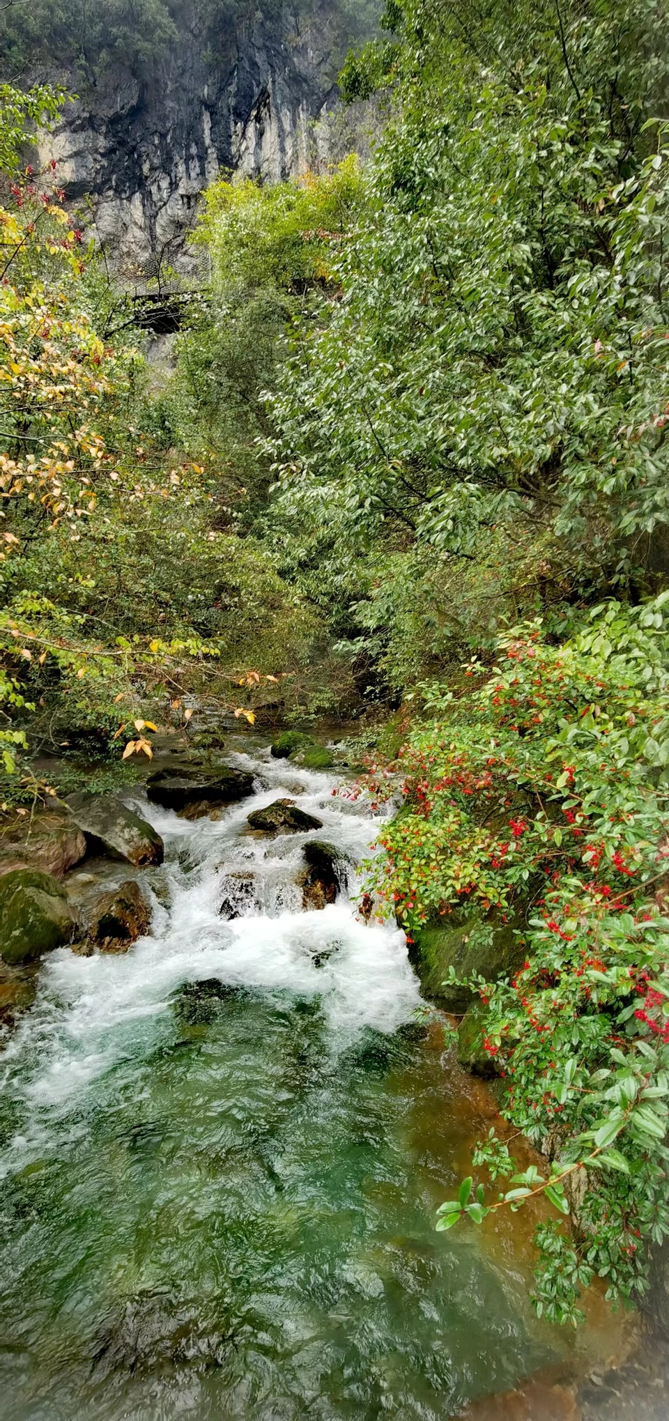 JjSB6DrPhCboqUwJ0YKyNh3QdV6Vv28rdybOM6qOZ3-motD8jT95fwh1sAoPnDAo