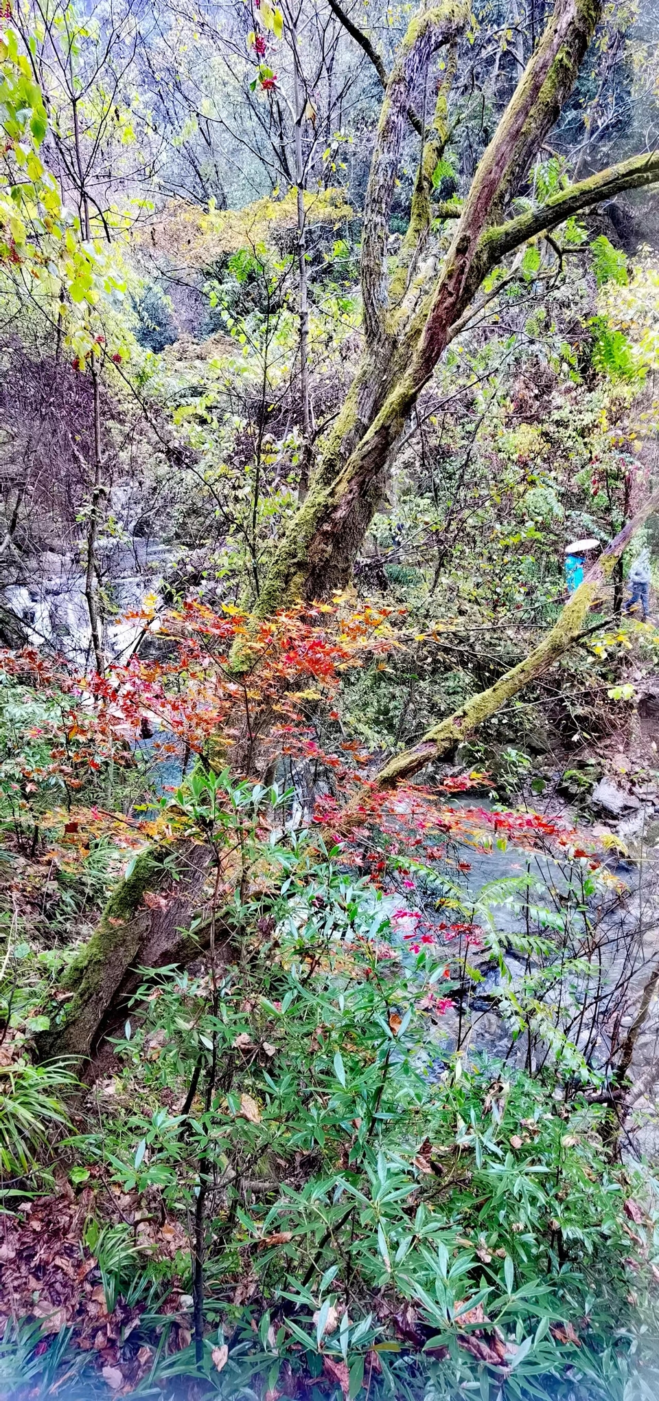 JjSB6DrPhCboqUwJ0YKyNm5zayI82shZr5t-o-d-5g6pl1U8jJ_BzOjYC4Zw91H-